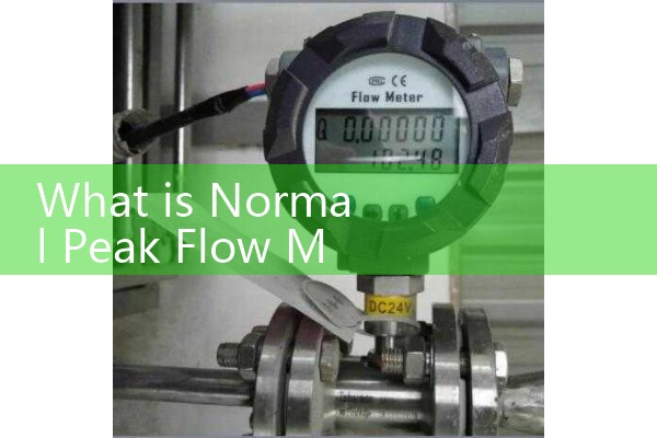 What is Normal Peak Flow Meter Reading: Ideal Expiratory Target Data